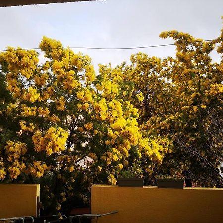 Appartement Proche Mer Avec Terrasse Et Jardin Privatif Hyeres Luaran gambar