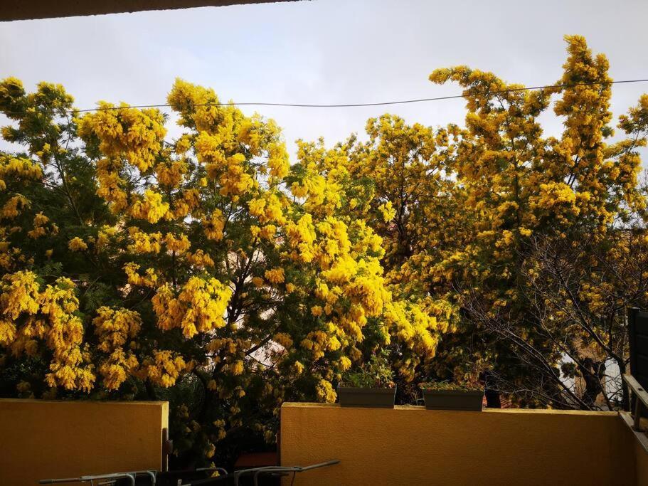 Appartement Proche Mer Avec Terrasse Et Jardin Privatif Hyeres Luaran gambar